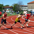 P5016952.JPG