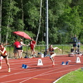P5307162.JPG