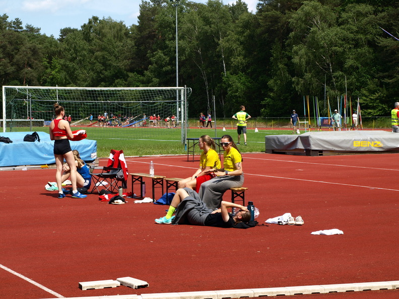 P5317195.JPG